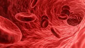 England: New revelation in the study regarding death due to TB, one person is losing his life every week due to lack of timely identification.