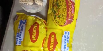 FSSAI's action on the complaint of insects being found in Maggi, watch the video, notice issued to Nestle