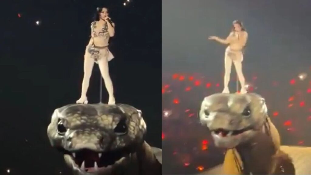 Full Video: This beautiful woman danced on the hood of a 30 meter long snake, people were stunned
