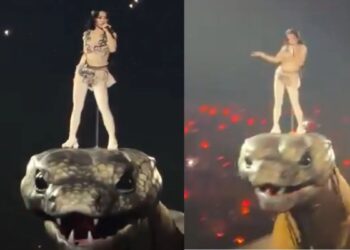 Full Video: This beautiful woman danced on the hood of a 30 meter long snake, people were stunned