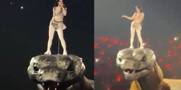 Full Video: This beautiful woman danced on the hood of a 30 meter long snake, people were stunned