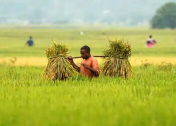GVA of India's agriculture sector more than doubles in a decade to Rs 48.7 lakh crore