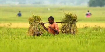 GVA of India's agriculture sector more than doubles in a decade to Rs 48.7 lakh crore