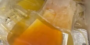 Gujarat: Adulterated plasma seized, declared 'not fit for human use'; Investigation extended to blood banks of Maharashtra