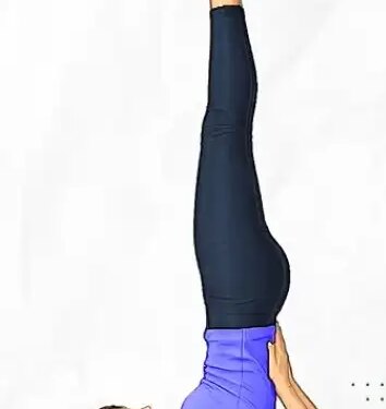 Hair turning gray at a young age? Yogasana will help you, not medicine, practice Sarvangasana daily