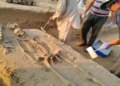 Human skeletons found in Rakhigarhi were handed over to ANSI, new information can be found on the lifestyle of Harappan period.