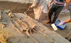 Human skeletons found in Rakhigarhi were handed over to ANSI, new information can be found on the lifestyle of Harappan period.