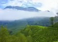 IRCTC brings a golden opportunity to visit Kerala, enjoy the greenery of Munnar and the beautiful nights of houseboat.