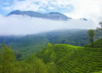 IRCTC brings a golden opportunity to visit Kerala, enjoy the greenery of Munnar and the beautiful nights of houseboat.