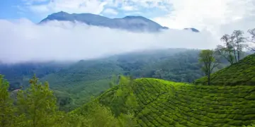 IRCTC brings a golden opportunity to visit Kerala, enjoy the greenery of Munnar and the beautiful nights of houseboat.