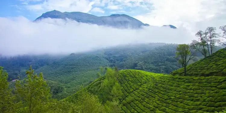 IRCTC brings a golden opportunity to visit Kerala, enjoy the greenery of Munnar and the beautiful nights of houseboat.