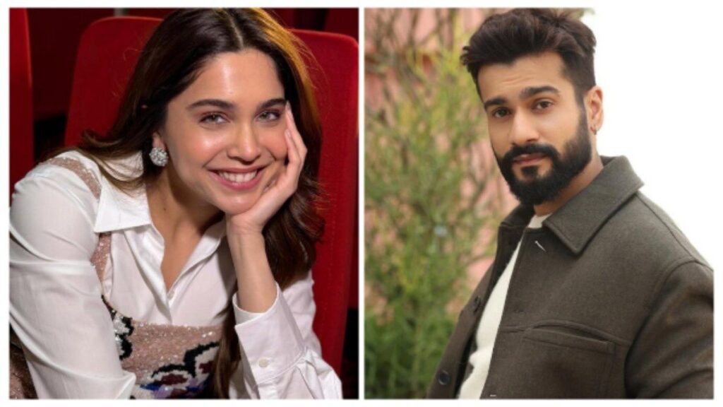 Katrina's brother-in-law broke up! Sunny Kaushal became insecure after seeing the bumper success of Sharvari Wagh?