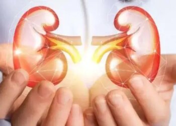 Kidney disease may become a global threat by 2040. Lancet report raises concern, know why cases are increasing?