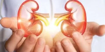 Kidney disease may become a global threat by 2040. Lancet report raises concern, know why cases are increasing?
