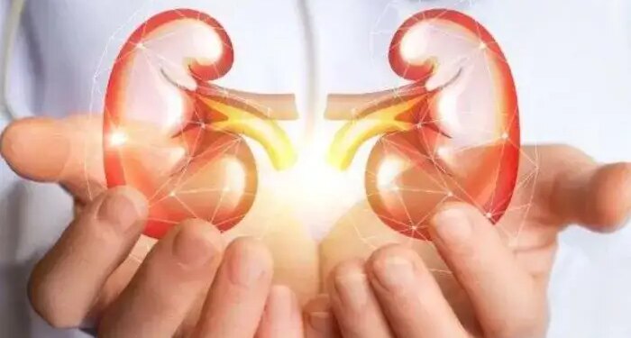 Kidney disease may become a global threat by 2040. Lancet report raises concern, know why cases are increasing?