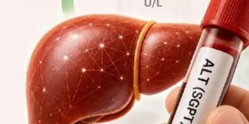 Liver health speaks through numbers, know what is ALT test, why is it important