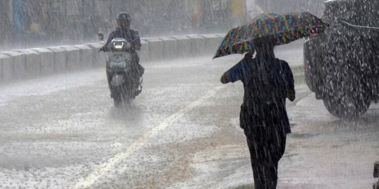 MP Weather Today| Heavy Rain Alert in 50 Districts. Monsoon Update | MP Weather Today: Rain alert in 50 districts of Madhya Pradesh, monsoon will be active again from July 2. News Track in Hindi
