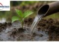 Madhya Pradesh Water Conservation Model Gains Global Recognition Through Jal Ganga Sanvardhan Abhiya. Madhya Pradesh News: Madhya Pradesh became an example in water conservation, Jal Ganga campaign got global recognition. News Track in Hindi
