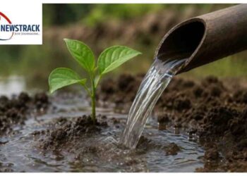 Madhya Pradesh Water Conservation Model Gains Global Recognition Through Jal Ganga Sanvardhan Abhiya. Madhya Pradesh News: Madhya Pradesh became an example in water conservation, Jal Ganga campaign got global recognition. News Track in Hindi