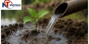Madhya Pradesh Water Conservation Model Gains Global Recognition Through Jal Ganga Sanvardhan Abhiya. Madhya Pradesh News: Madhya Pradesh became an example in water conservation, Jal Ganga campaign got global recognition. News Track in Hindi