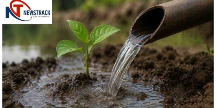 Madhya Pradesh Water Conservation Model Gains Global Recognition Through Jal Ganga Sanvardhan Abhiya. Madhya Pradesh News: Madhya Pradesh became an example in water conservation, Jal Ganga campaign got global recognition. News Track in Hindi