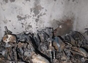Massive fire breaks out in multi-storey building in Delhi's Tughlakabad Extension, 3 people killed