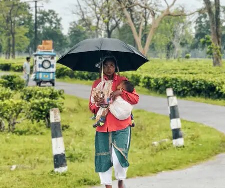 Maternal mortality rate in Assam reduced from 480 to 84, now better than the national average: CM Sarma