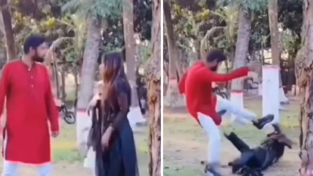 Muslim husband punches and kicks wife in park after she removes her hijab for a photo in the park