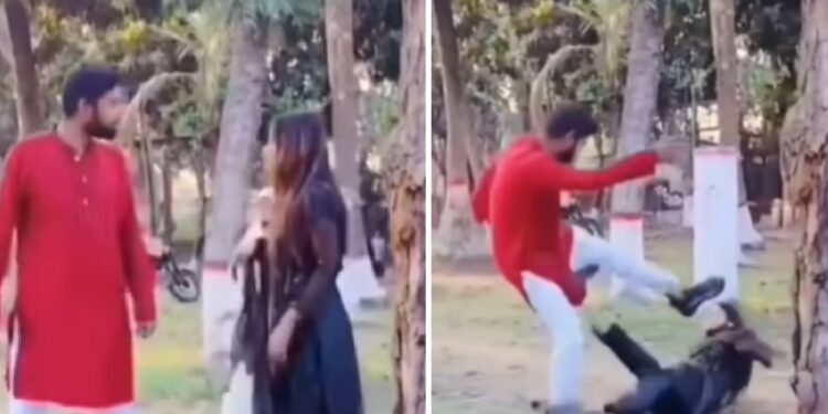 Muslim husband punches and kicks wife in park after she removes her hijab for a photo in the park