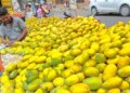 Nepal government has not imposed any ban on import of Indian mangoes: Government