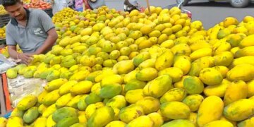Nepal government has not imposed any ban on import of Indian mangoes: Government