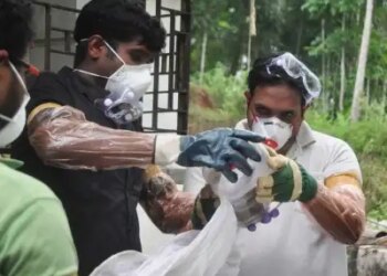 New case of Nipah virus in Kerala, 43-year-old man infected in Kozhikode, health department alert
