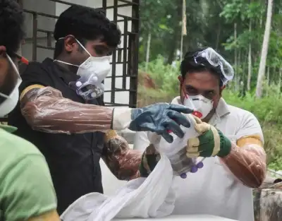 New case of Nipah virus in Kerala, 43-year-old man infected in Kozhikode, health department alert