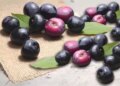 Not just fruits, Jamun seeds are also a treasure of health, know how they benefit the body.