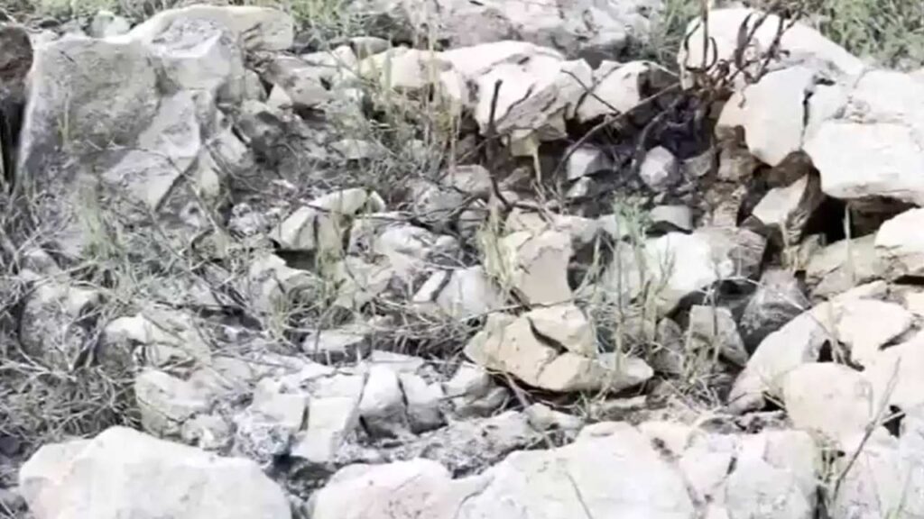 Odisha Fossil Discovery 2026: 'Asur Hadda' Fossils Unearthed in Major Scientific Find | Newstrack | Odisha Fossil Discovery: 'Asur Hadda' fossils found to be millions of years old, major scientific discovery found in Odisha. News Track in Hindi