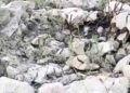 Odisha Fossil Discovery 2026: 'Asur Hadda' Fossils Unearthed in Major Scientific Find | Newstrack | Odisha Fossil Discovery: 'Asur Hadda' fossils found to be millions of years old, major scientific discovery found in Odisha. News Track in Hindi