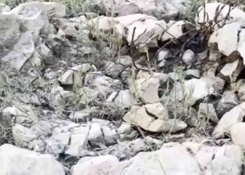 Odisha Fossil Discovery 2026: 'Asur Hadda' Fossils Unearthed in Major Scientific Find | Newstrack | Odisha Fossil Discovery: 'Asur Hadda' fossils found to be millions of years old, major scientific discovery found in Odisha. News Track in Hindi