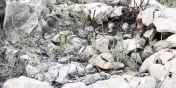 Odisha Fossil Discovery 2026: 'Asur Hadda' Fossils Unearthed in Major Scientific Find | Newstrack | Odisha Fossil Discovery: 'Asur Hadda' fossils found to be millions of years old, major scientific discovery found in Odisha. News Track in Hindi