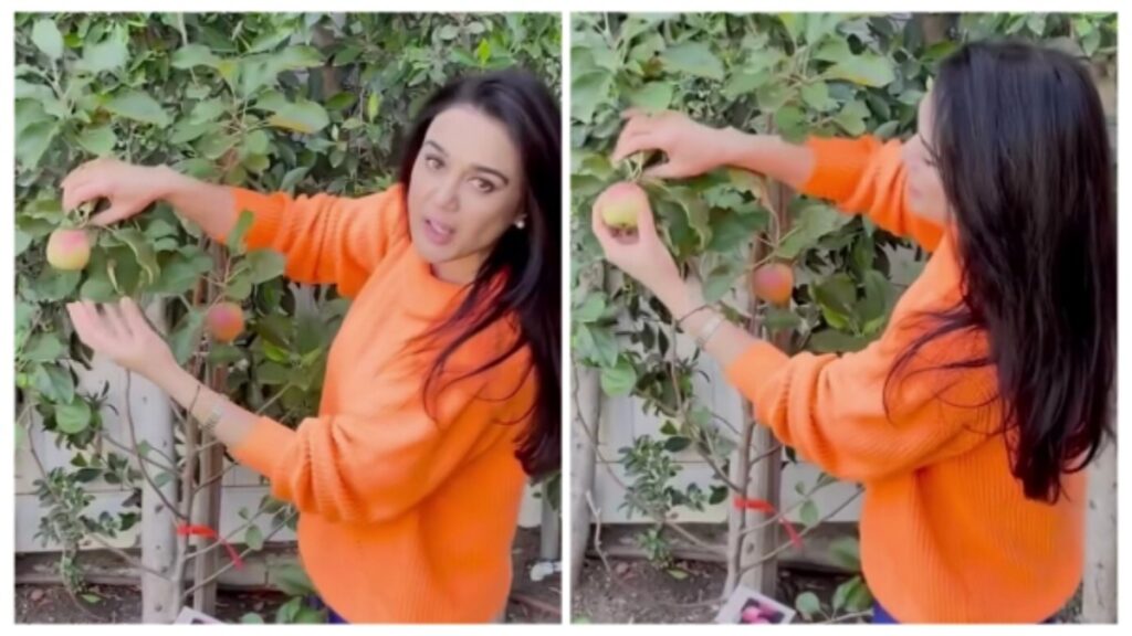 Preity Zinta started farming in her Los Angeles home, shared a video to show how she grows fruits and vegetables!