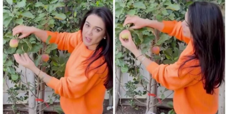 Preity Zinta started farming in her Los Angeles home, shared a video to show how she grows fruits and vegetables!