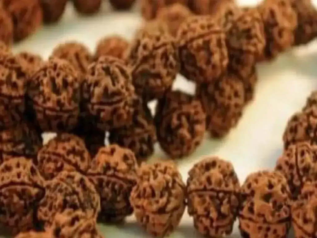 Rudraksha Benefits: Rudraksha originated from the tears of Lord Shiva, wearing it gives these miraculous benefits.