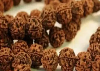 Rudraksha Benefits: Rudraksha originated from the tears of Lord Shiva, wearing it gives these miraculous benefits.
