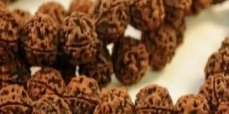 Rudraksha Benefits: Rudraksha originated from the tears of Lord Shiva, wearing it gives these miraculous benefits.