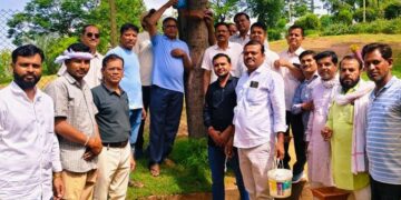 Setting up bird sheds is an act of virtue: Mahavir Parana