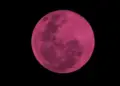 Strawberry Moon will be seen on Jyestha Purnima on June 29, is the moon really pink?