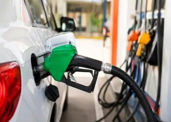 Supply of petrol, diesel, CNG and LPG normal in Delhi: BPCL