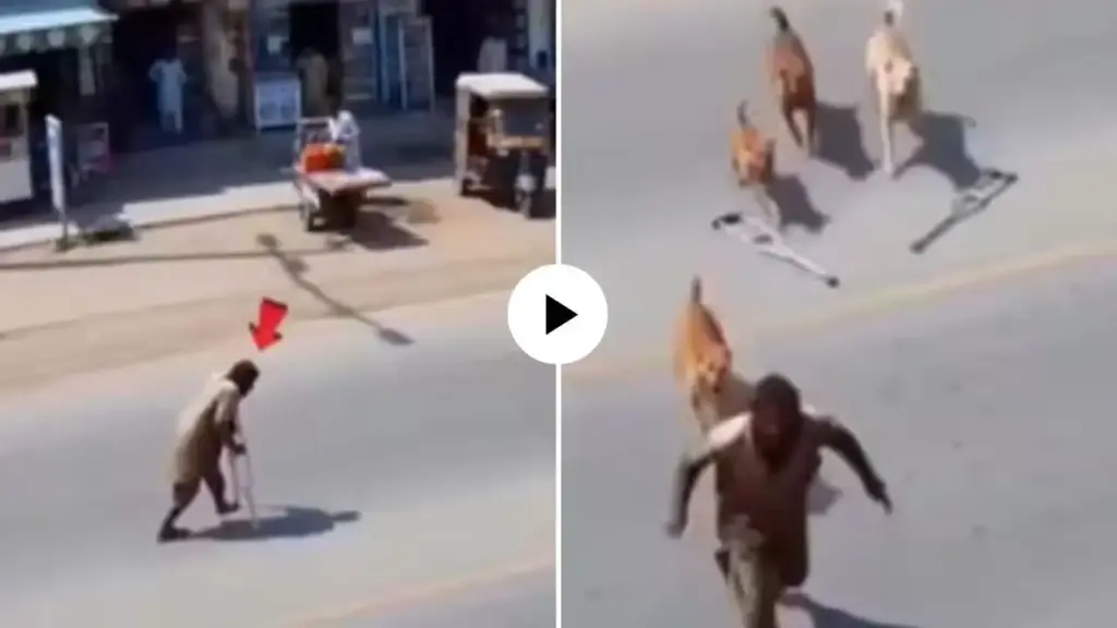 The beggar pretending to be lame ran away after seeing the dogs, the truth was caught on camera, the video created an uproar