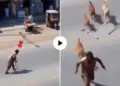 The beggar pretending to be lame ran away after seeing the dogs, the truth was caught on camera, the video created an uproar