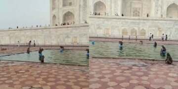 The fun of monkeys in the fountain of Taj Mahal won the hearts of people, the video of the monkeys jumping went viral.