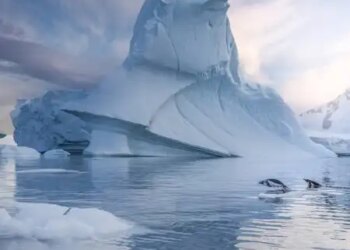 The most important part of protecting the oceans, know what is cryosphere